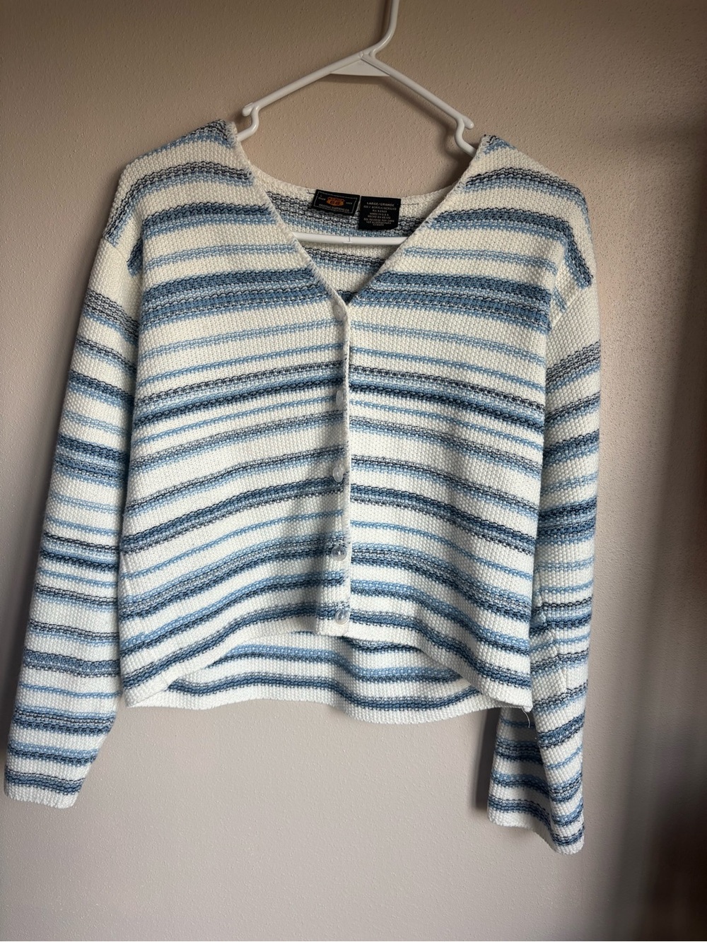 Striped V-Neck Button-Front Sweater in Blue & White